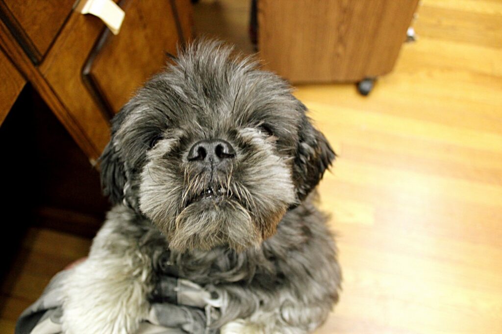 Interview with JOHN KING, owner of John K. King Used & Rare Books in Detroit - 085