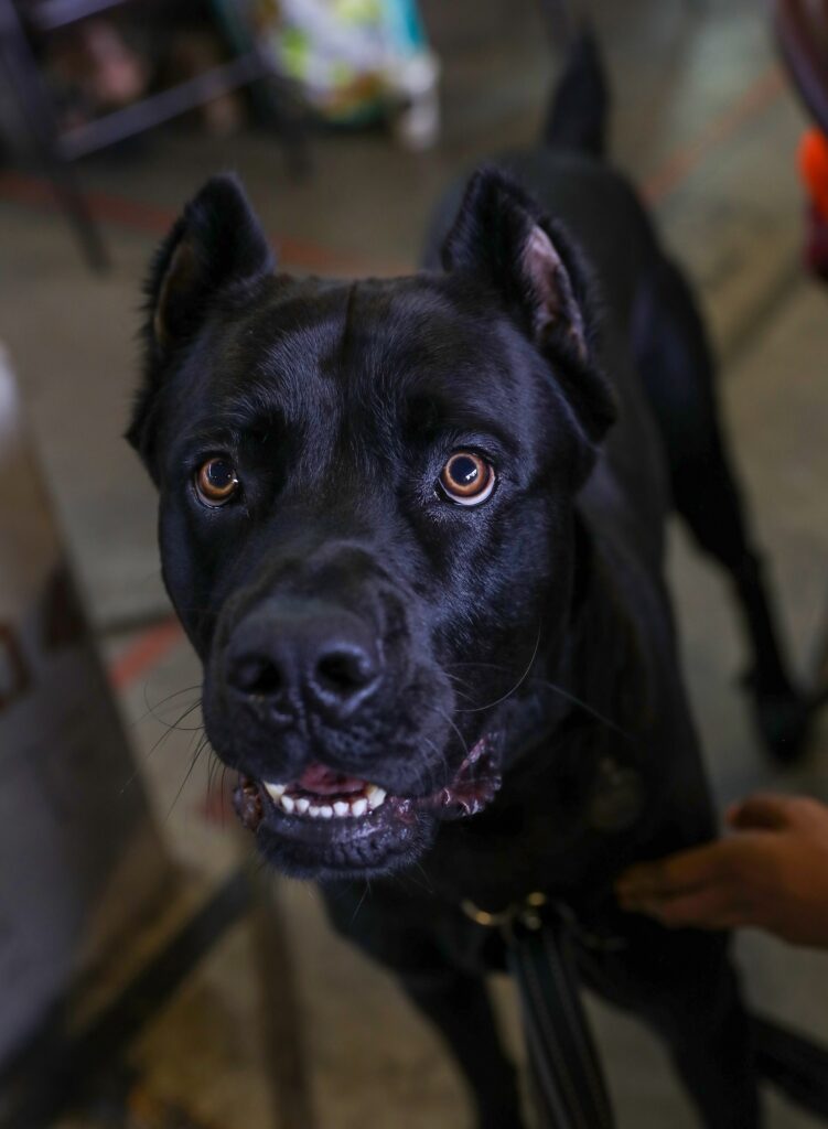 Photos from 5th Annual Detroit Festival of Books 2022 - 268