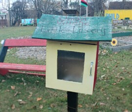 Empty Free Little Library box at Umoja Community Garden in Detroit. Photo ©2025 by Ryan M Place. All rights reserved. Weathered box with hinged door, mounted on a post in a grassy field.