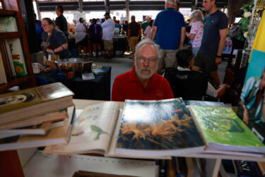 Detroit Bookfest 2026 Photo Galleries - 3042804411