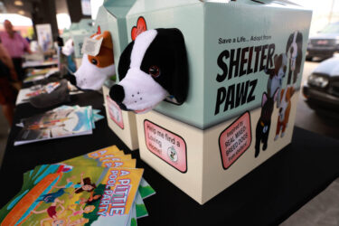 Detroit Bookfest 2026 Photo Galleries - 62751266